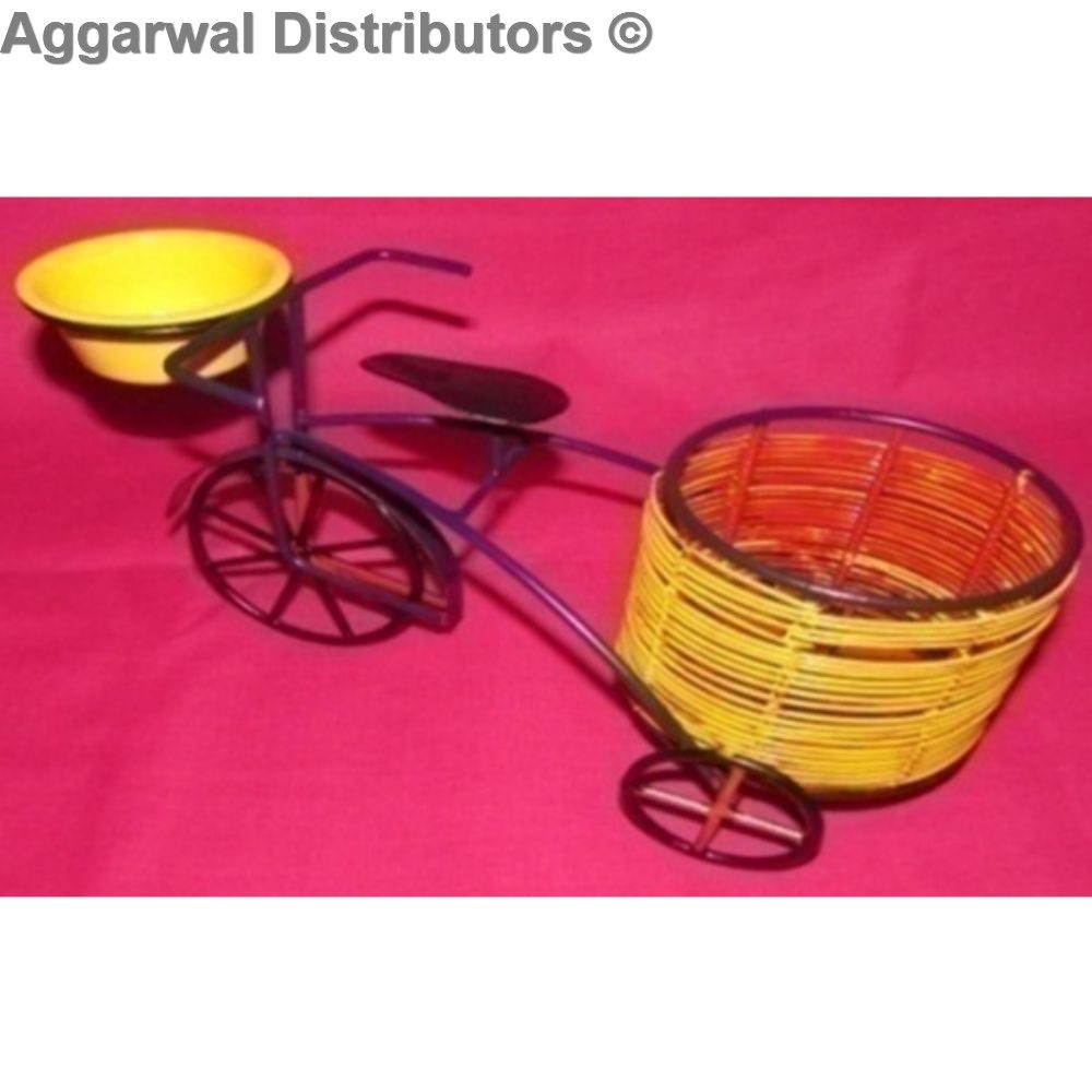 Metal Cycle With Round Basket 2
