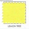 lemon-tree-1.jpg
